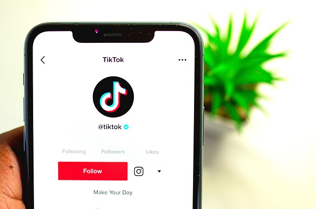 Comment intégrer TikTok dans votre plan marketing